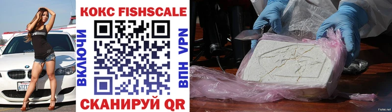 COCAIN Fish Scale  Купить закладки  Будённовск 