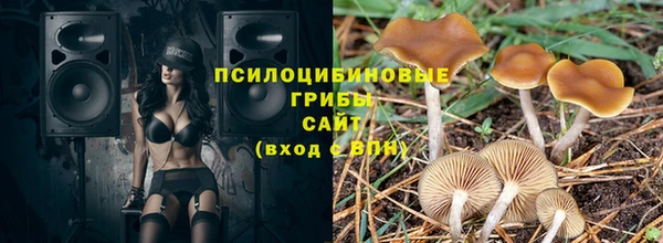 метадон Козловка