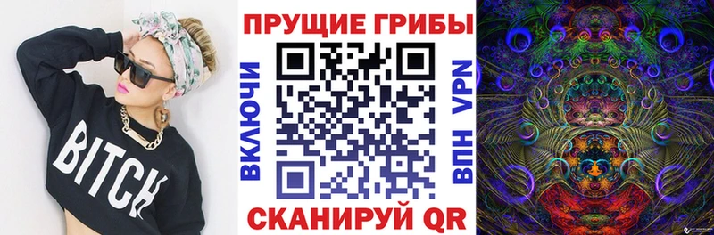 Купить где  Будённовск  Галлюциногенные грибы GOLDEN TEACHER 